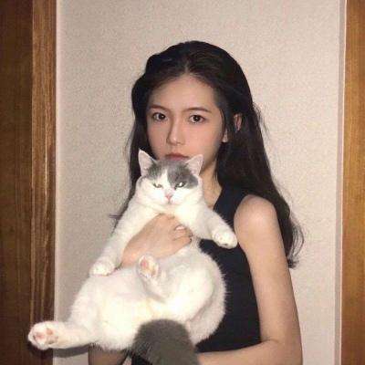疯狂客运城红包版下载